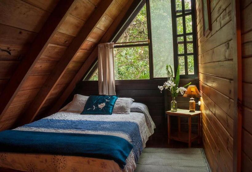 1 Schlafzimmer Penthouse Apartment, Casa De Piedra