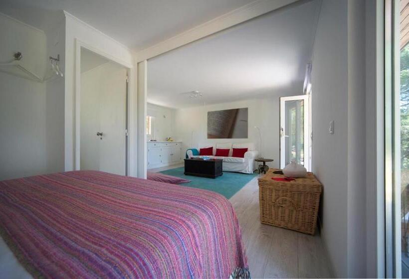 스탠다드 방갈로, Casal Do Frade