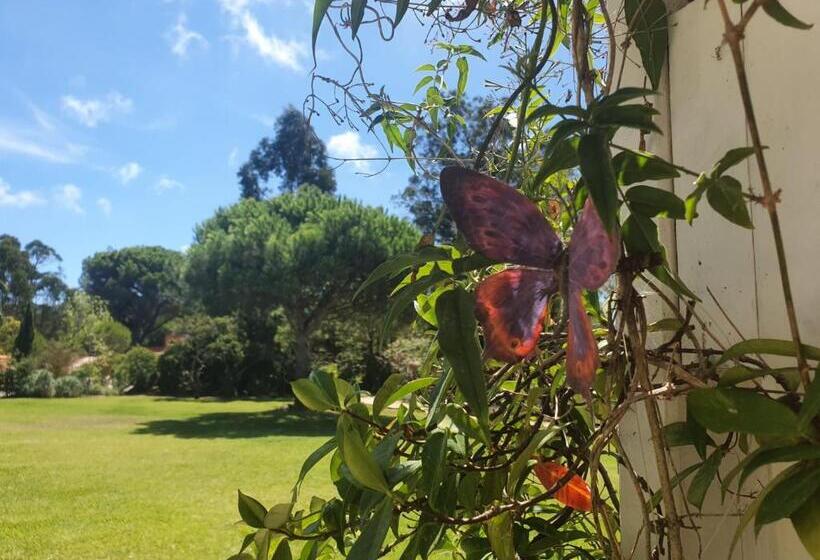 침실 1개 주택, Casal Do Frade