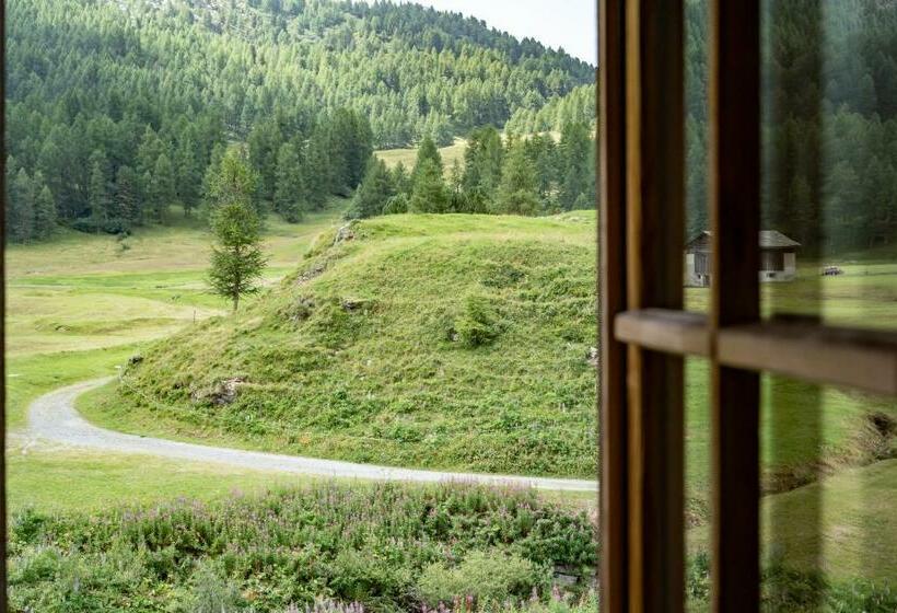 غرفة قياسية, Chesa Pool