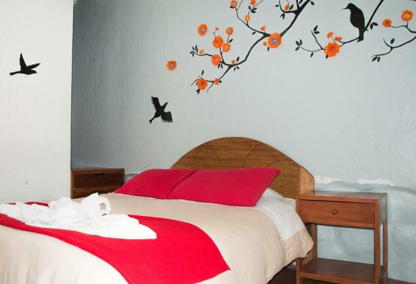 Standardzimmer, Pirwa Backpackers Colonial