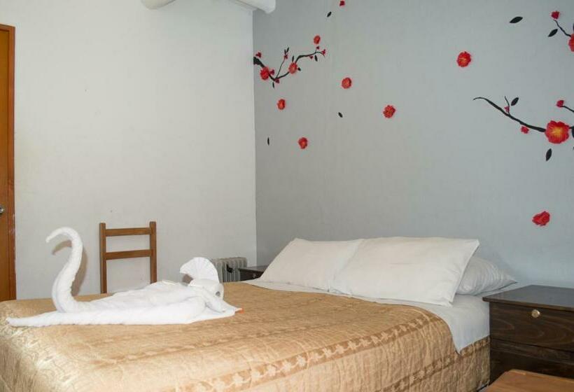 Quarto Estandar, Pirwa Backpackers Colonial