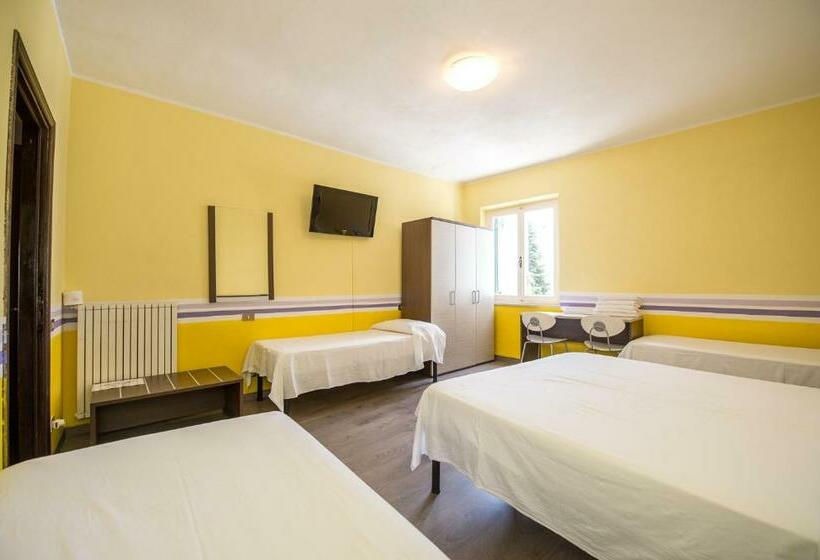 Habitació Quàdruple Estàndard, Terranova