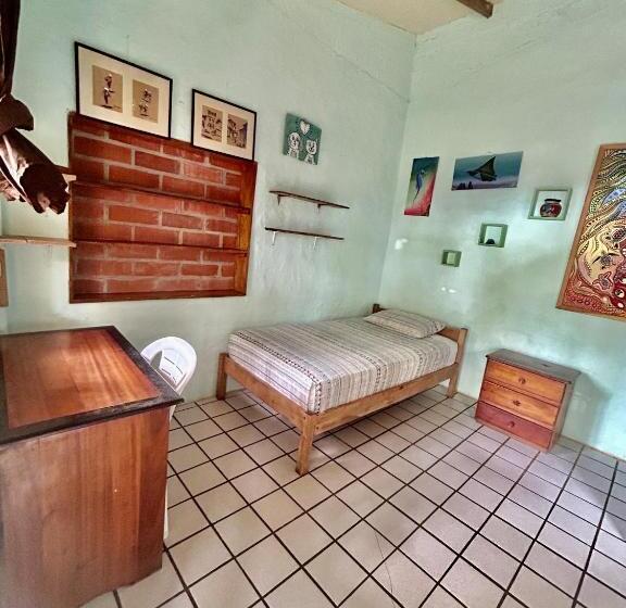 إستوديو قياسى مطلّ علي الحديقة, The Sea Garden House