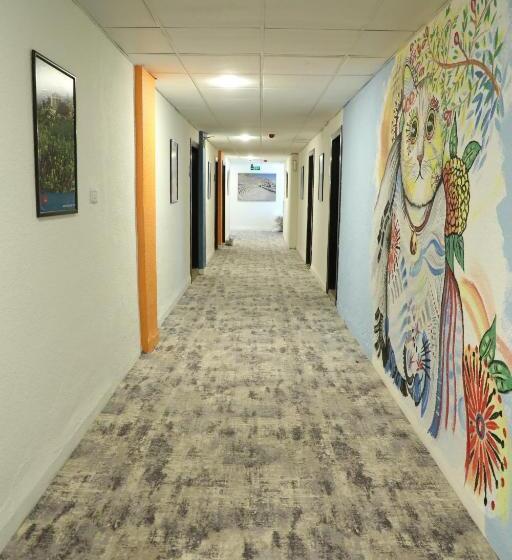 اتاق اکونومی یک تخته, The Sydney