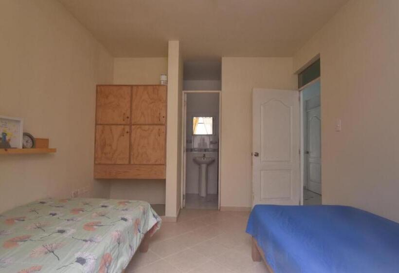 سرير فى غرفة مشتركه, Bravo Surf Camp