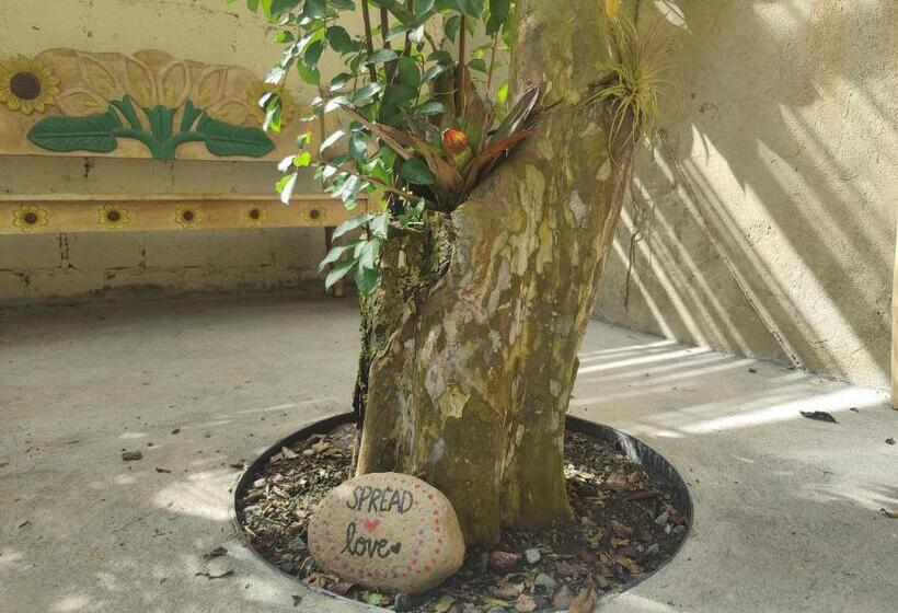 غرفة قياسية فردية, Casa De Lis Hotel & Tourist Info Centre