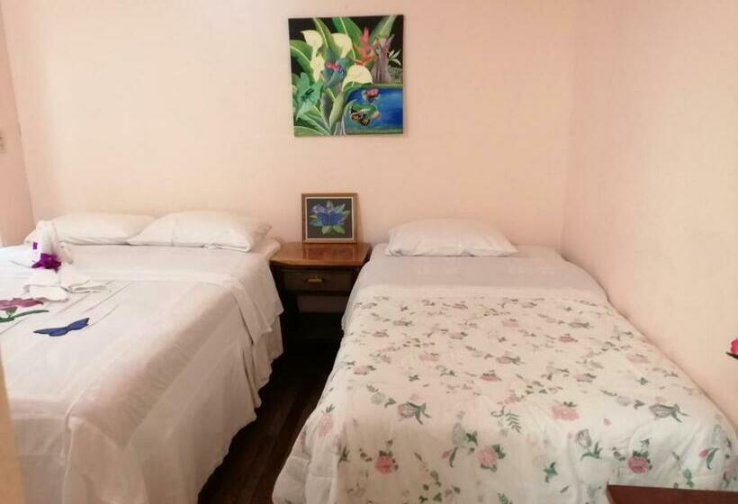 اتاق استاندارد با چشم‌انداز باغ, Monte Los Lirios Lodge