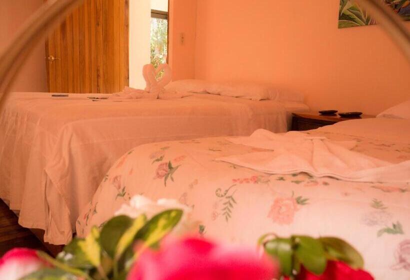 اتاق استاندارد با چشم‌انداز باغ, Monte Los Lirios Lodge