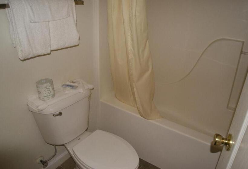 غرفه قياسيه سريرين مزدوجين, American Inn And Suites