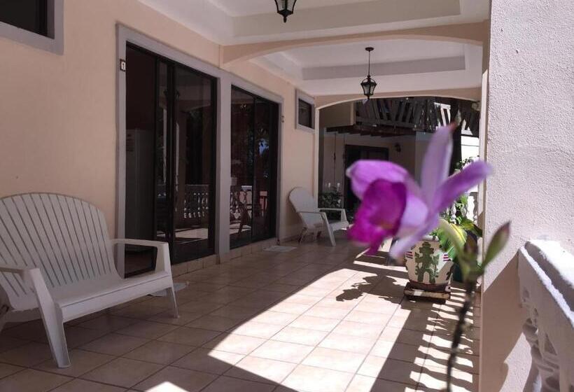 جناح جونيور مطلّ علي البحر, Beachfront Vista Hermosa