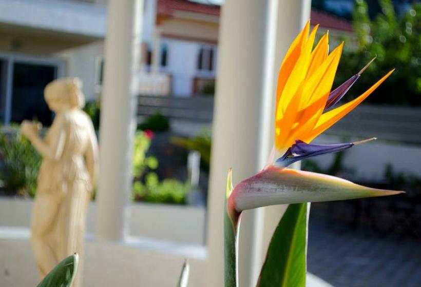 스탠다드 스튜디오, Estia