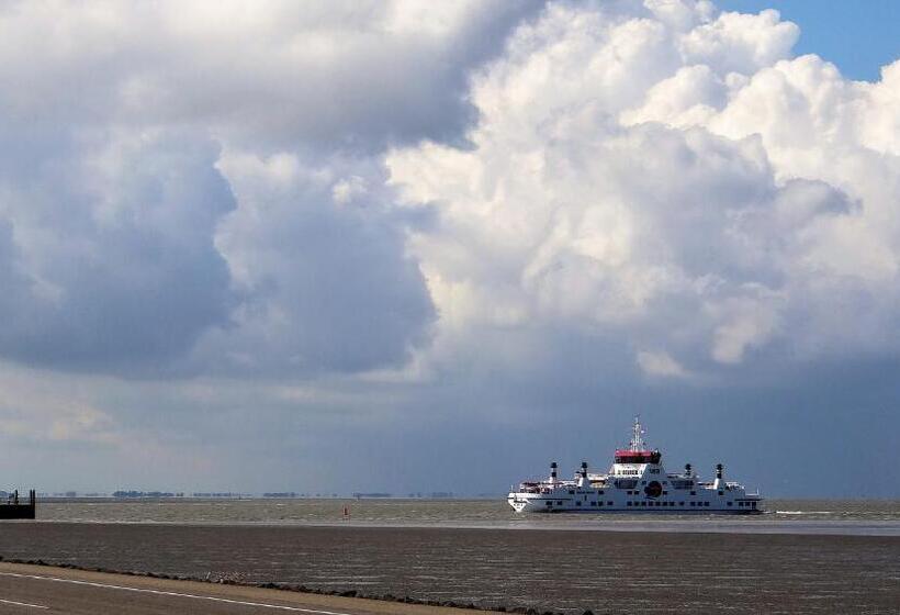 חדר סטנדרט, Hofker