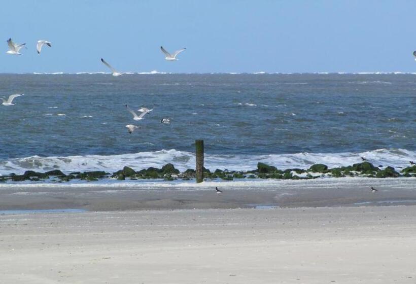 חדר סטנדרט, Hofker