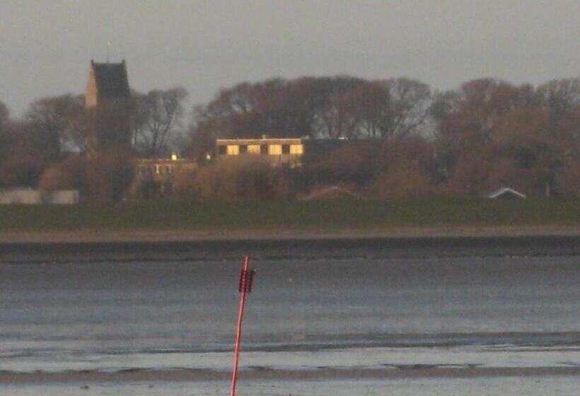 חדר בסיסי, Hofker