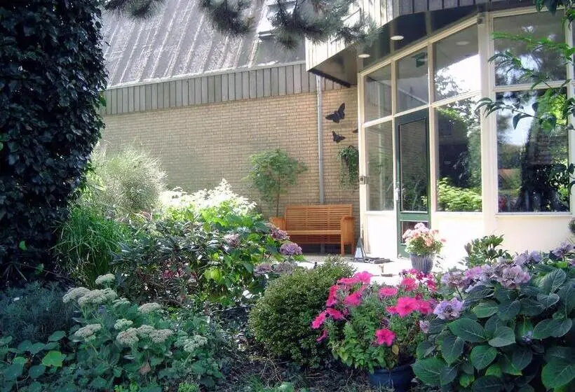 Basic-huone, Hofker