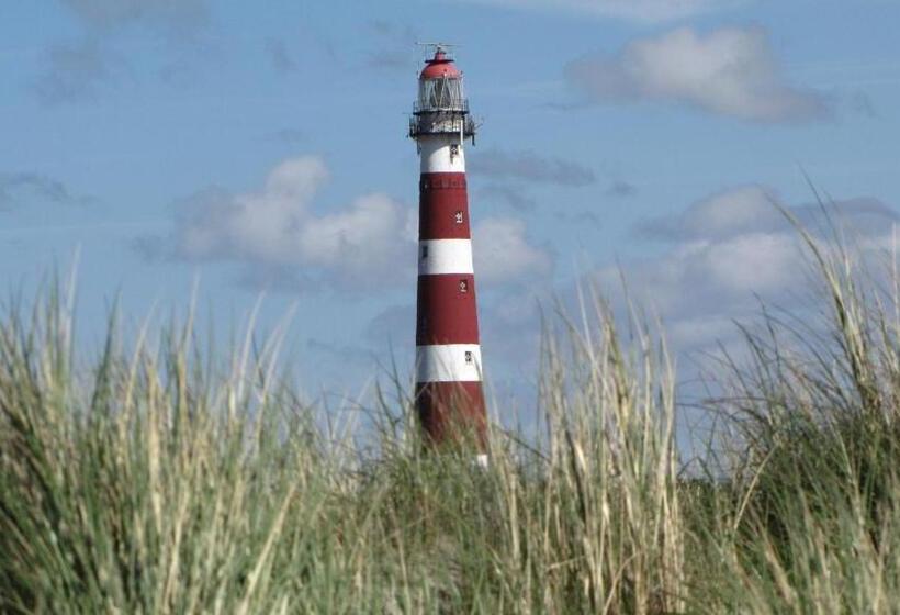 חדר בסיסי, Hofker