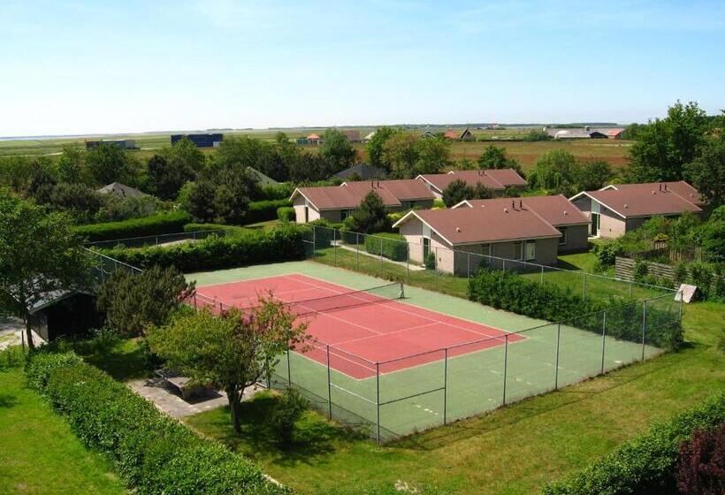 חדר בסיסי, Hofker