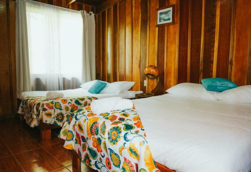 Номер Стандарт, Holístico Monteverde