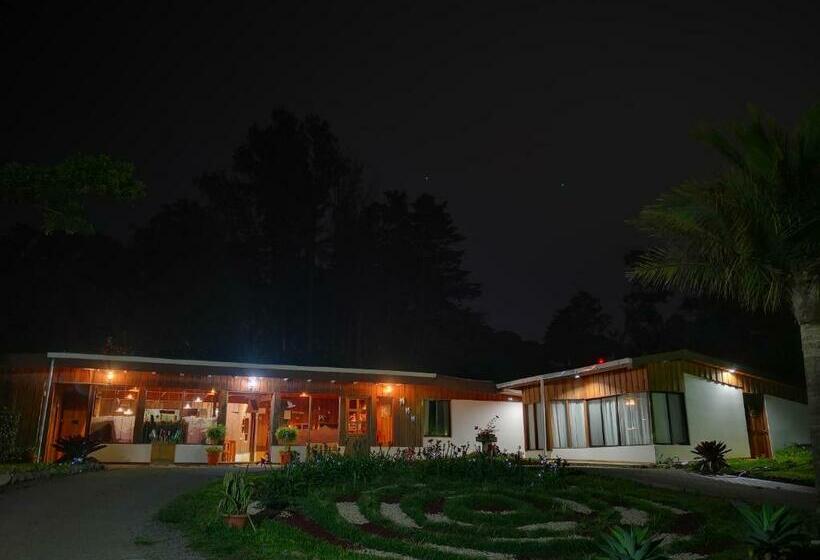 Номер Стандарт, Holístico Monteverde