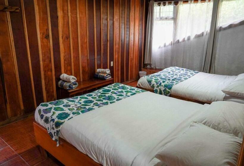 Номер Стандарт, Holístico Monteverde