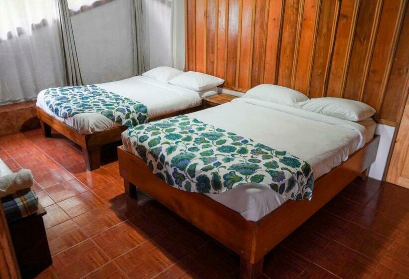 Номер Стандарт, Holístico Monteverde