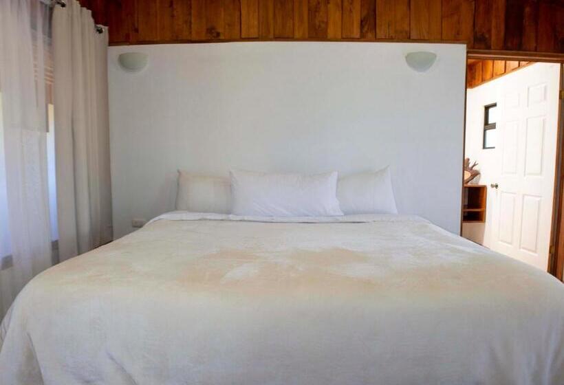 Номер Стандарт, Holístico Monteverde