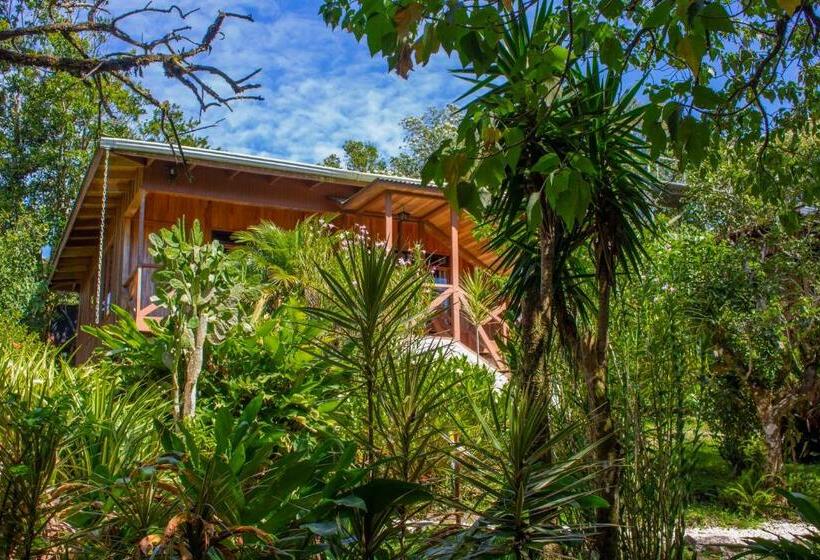 Шале 1 Спальня, Holístico Monteverde