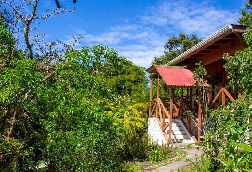 Шале 1 Спальня, Holístico Monteverde