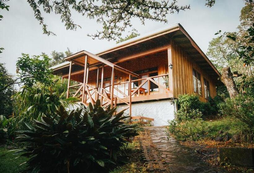 Шале 1 Спальня, Holístico Monteverde