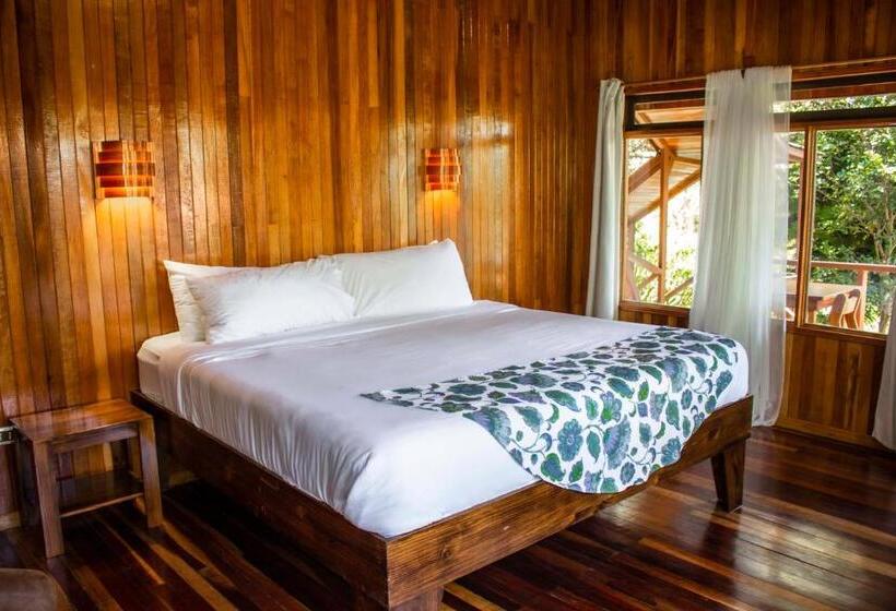 Номер Стандарт, Holístico Monteverde