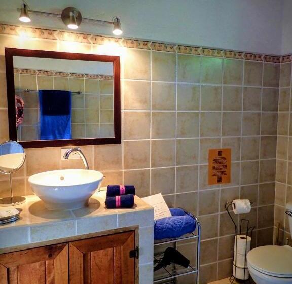 خانه 1 خوابه, Orosi Lodge