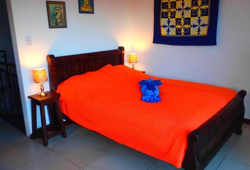 ویلای 3 خوابه, Orosi Lodge