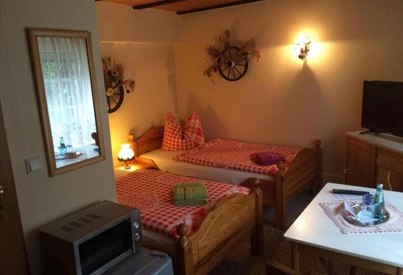 스탠다드 싱글 룸, Pension Zum Bauernstübl