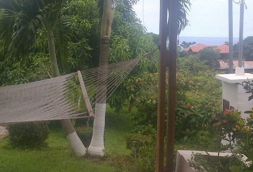 اتاق استاندارد با 2 تخت دوبل, Three Monkeys