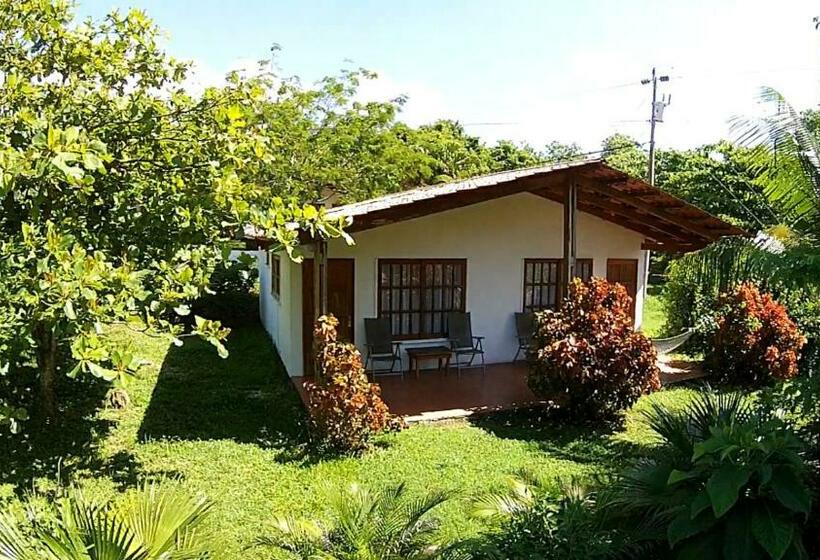 اتاق استاندارد با 2 تخت دوبل, Three Monkeys