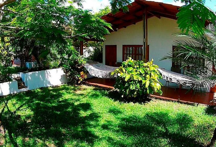 اتاق استاندارد, Three Monkeys