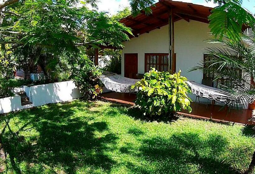 اتاق استاندارد, Three Monkeys