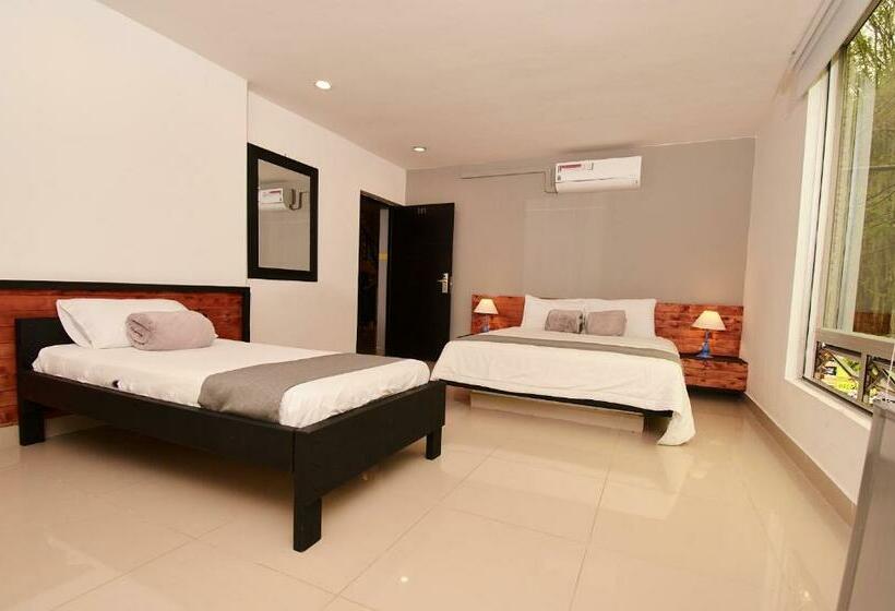 高级三人间, Tik Medellin