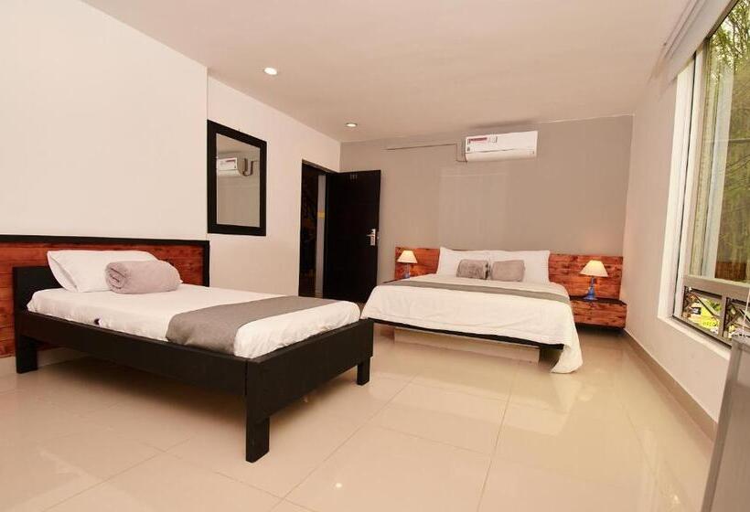 高级大房间, Tik Medellin