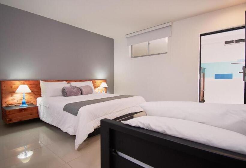 高级大房间, Tik Medellin