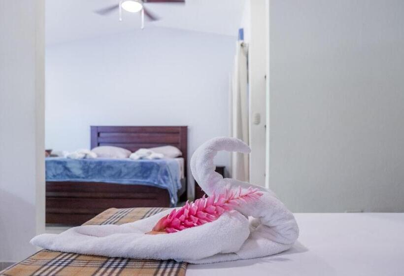 סטודיו דלוקס, Zula Inn Apart