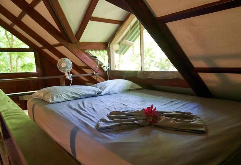 بانگلوی استاندارد, Luz En El Cielo Eco B&b/hostel