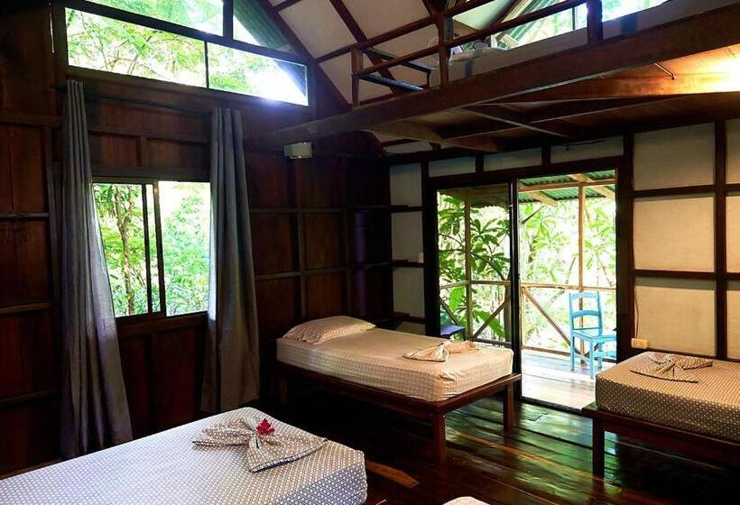 بانگلوی استاندارد, Luz En El Cielo Eco B&b/hostel