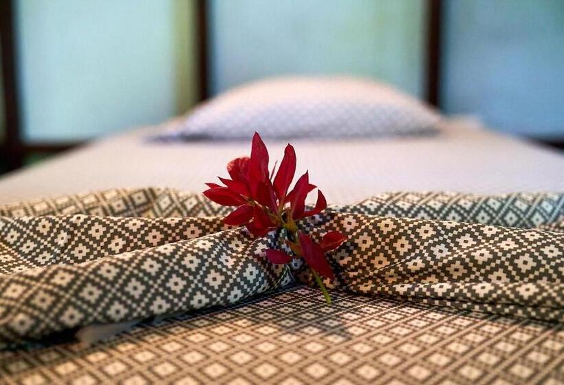 بانگلوی استاندارد, Luz En El Cielo Eco B&b/hostel