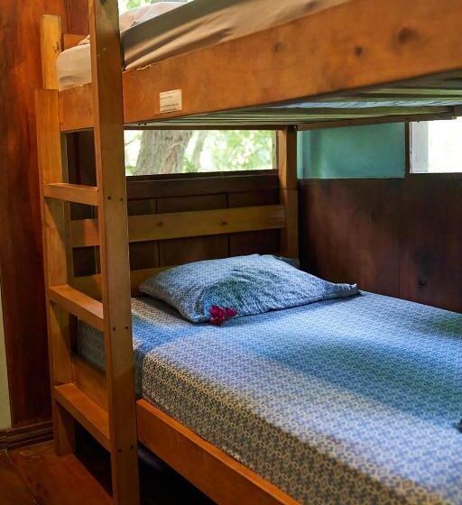 تختخواب در اتاق مشترک, Luz En El Cielo Eco B&b/hostel