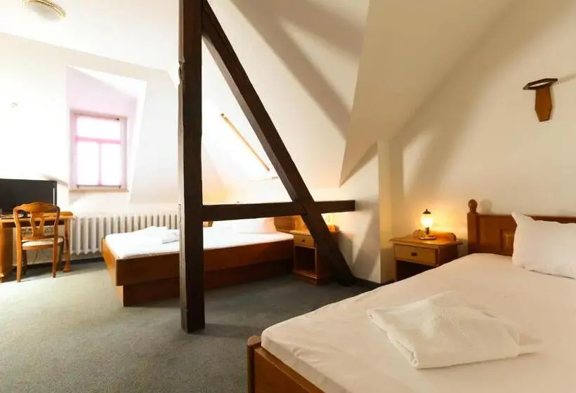Standard Kolmen Hengen Huone, Parkhotel Forsthaus