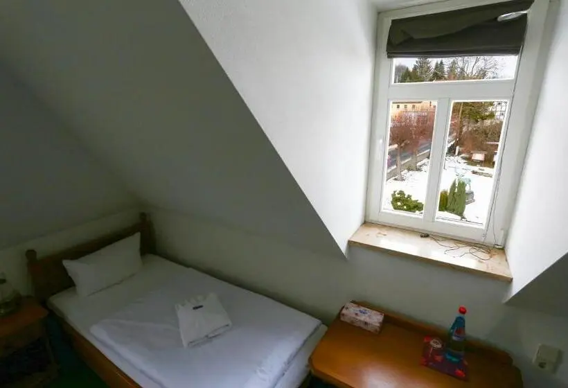 Standard Yhden Hengen Huone, Parkhotel Forsthaus