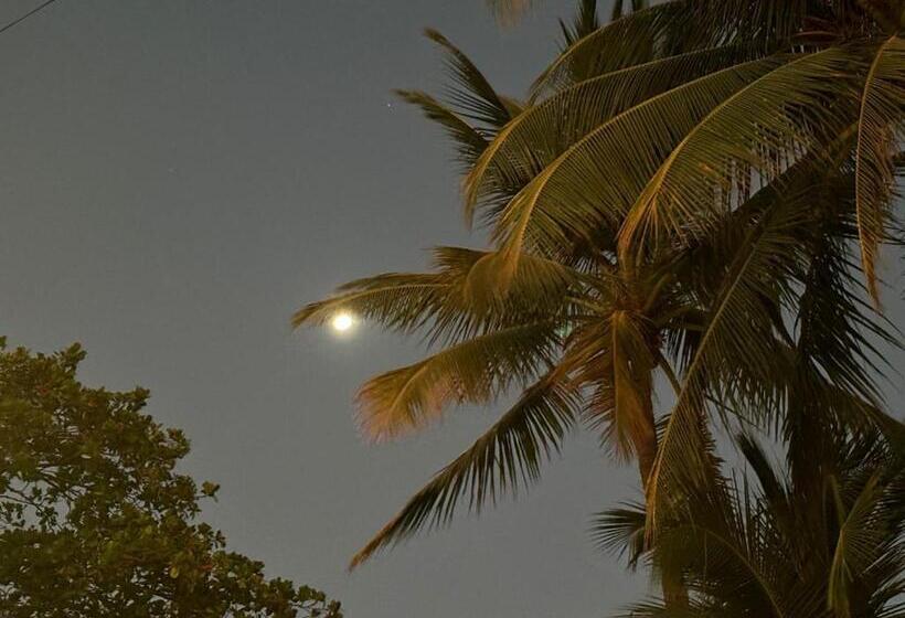 스탠다드 룸 킹사이즈 침대, Rustic Beach Front Hotel Brasilito