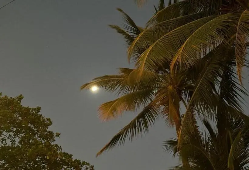 Standard-huone King-vuode, Rustic Beach Front Hotel Brasilito